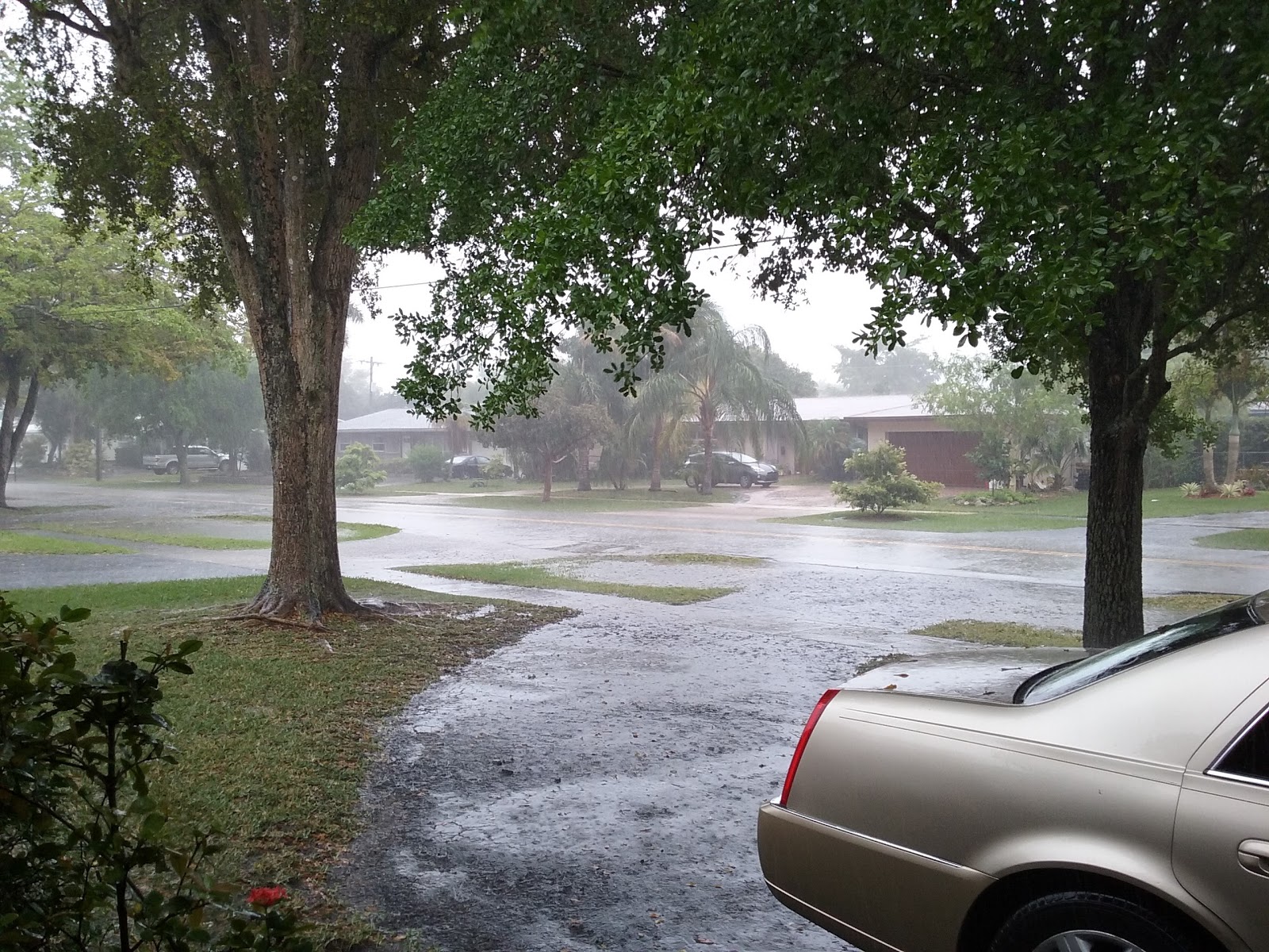 Plantation City Parks City of Plantation