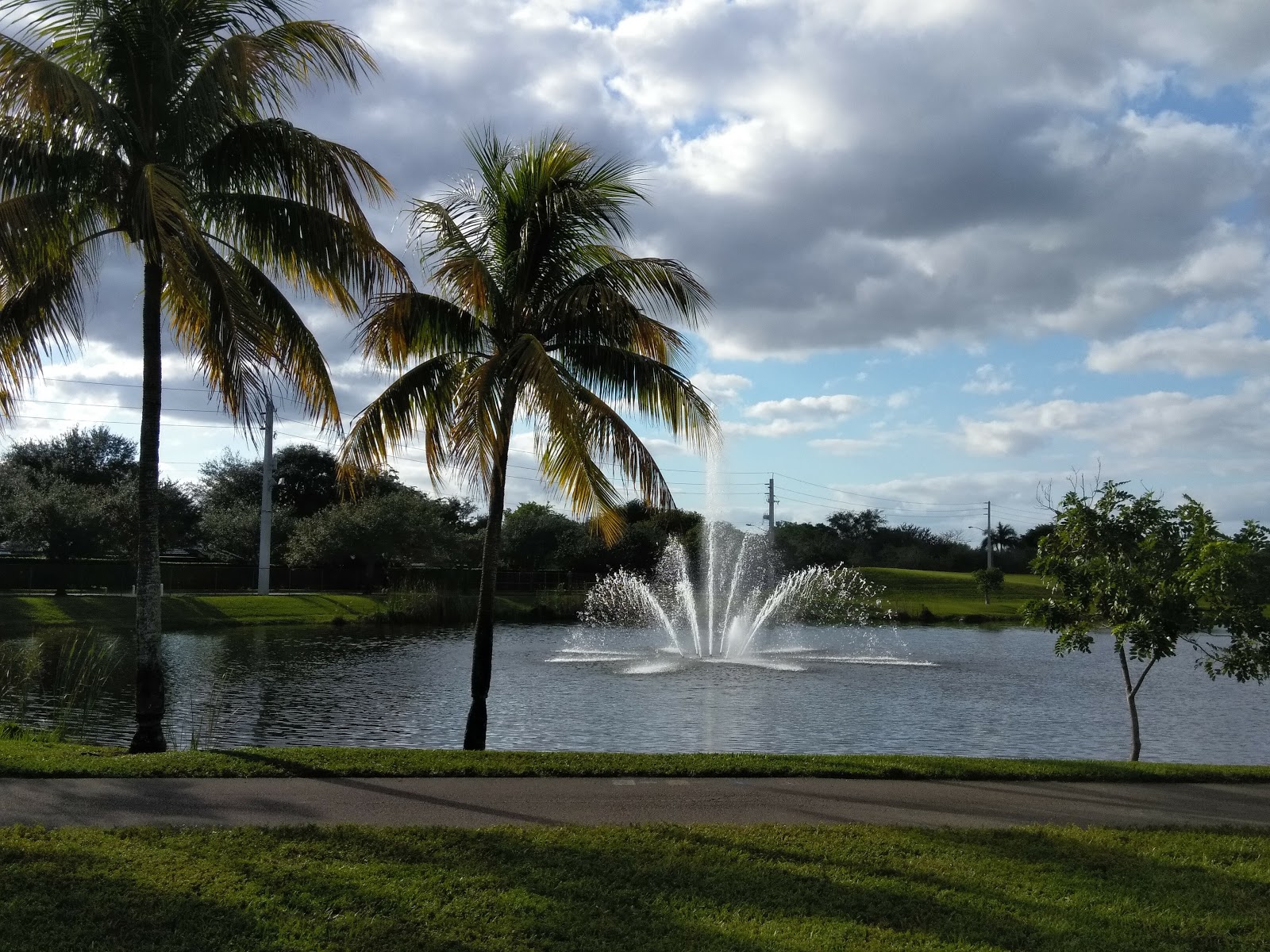 City of Plantation The Grass is Greener
