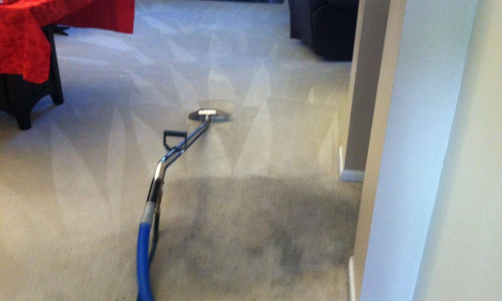 Absolute Best Carpet Cleaners