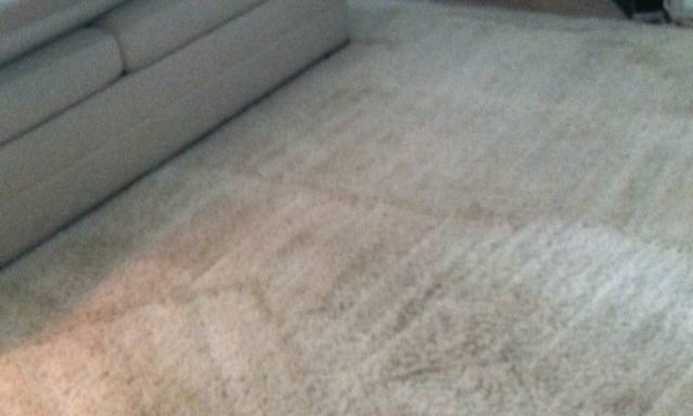Absolute Best Carpet Cleaners
