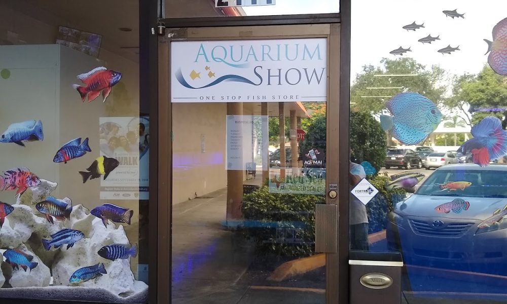 Aquarium Show