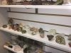 Life Stones, Gems & Minerals