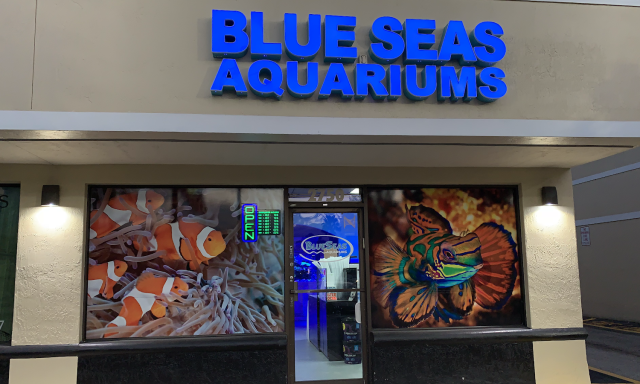 Blue Seas Aquariums