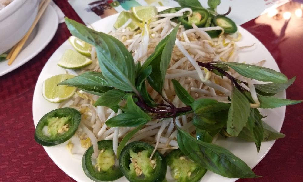 Pho Brandon Vietnamese Cuisine