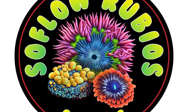 SoFlow Rubio’s Corals