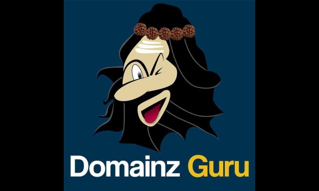 Domainz Guru LLC