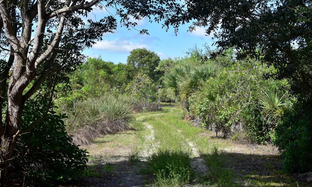 Plantation Equestrian Center