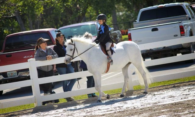 Signature Stables