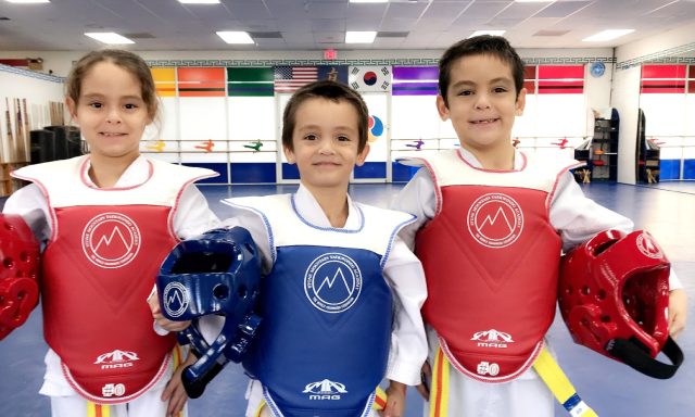 Stone Mountain Taekwondo Academy