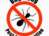 Bug A Bug Pest Extermination