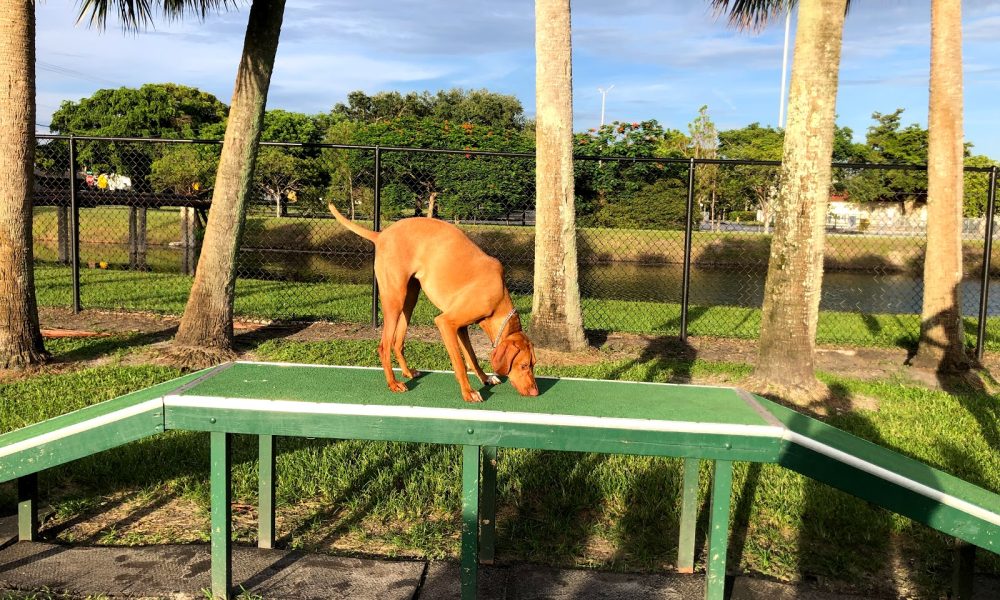 Happy Tails dog Park