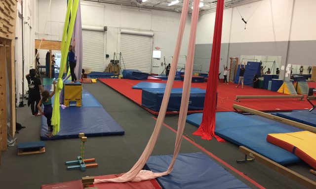 Nova Gymnastics