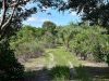 Plantation Equestrian Center