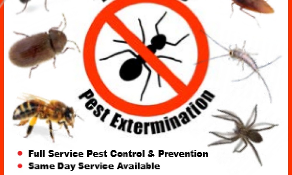 Bug A Bug Pest Extermination