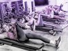 FITSPACE Boutique Fitness Plantation