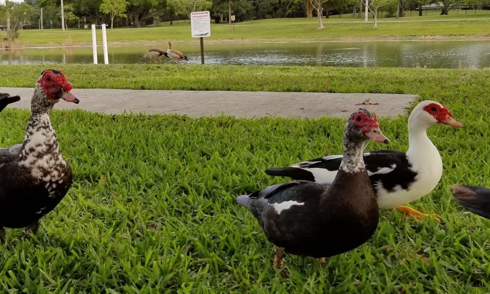 Plantation Heritage Park