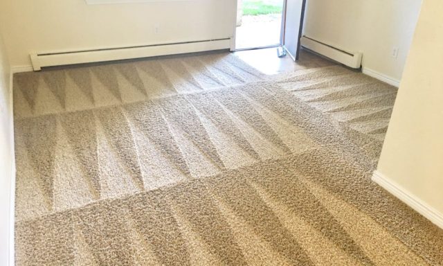 BROWARD COUNTY CARPET CLEANING INC