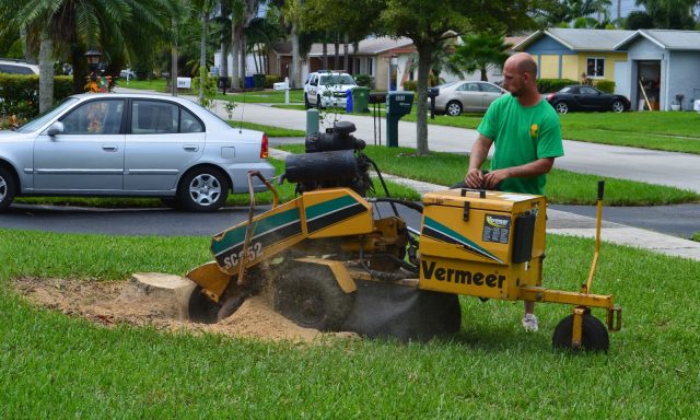 Marshall’s Tree Service & Landscaping