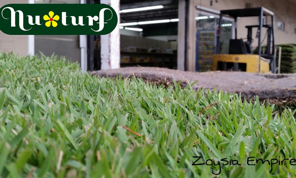 Nu-Turf Sod & Garden Shop