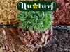 Nu-Turf Sod & Garden Shop