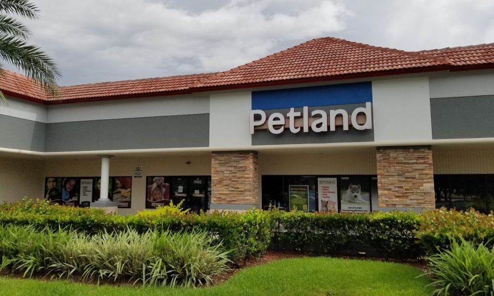 Petland Davie