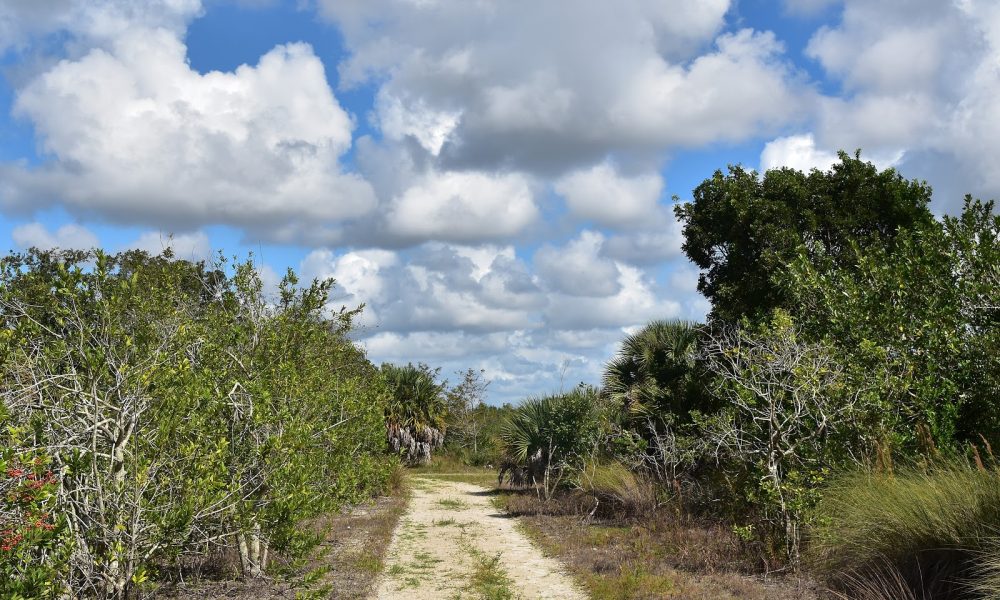 Plantation Equestrian Center