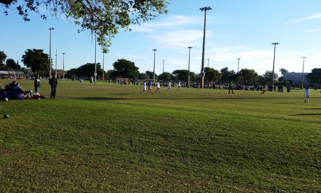 Soccer Field