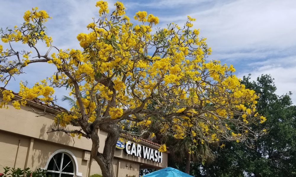 Sparkling Image Car Wash