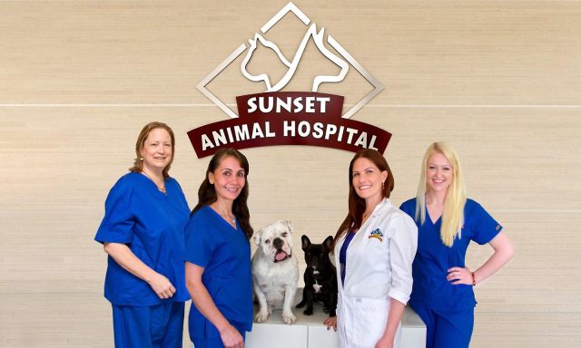 Sunset Animal Hospital