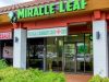 Miracle Leaf Medical Marijuana Doctor of Davie