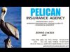 Pelican Insurance Agency