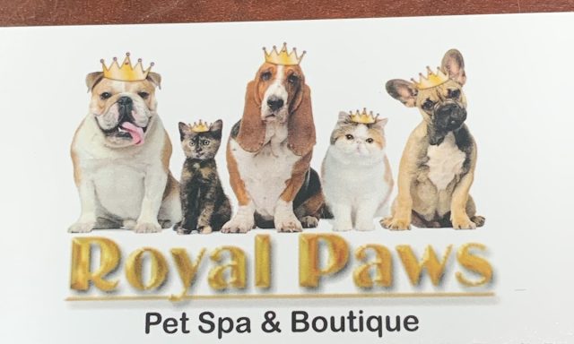 Royal Paws Pet Spa & Boutique