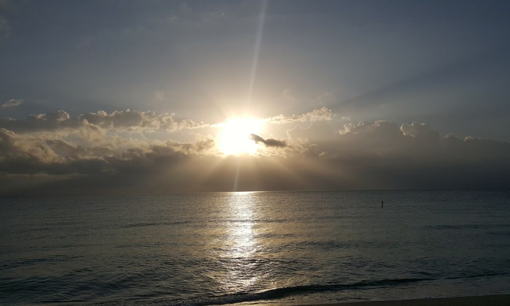 D.Y.E.M.O.N.D. Executive Security &amp; Protection Agency Inc.