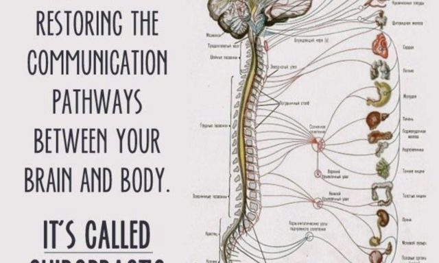 Schachter Steven B DC