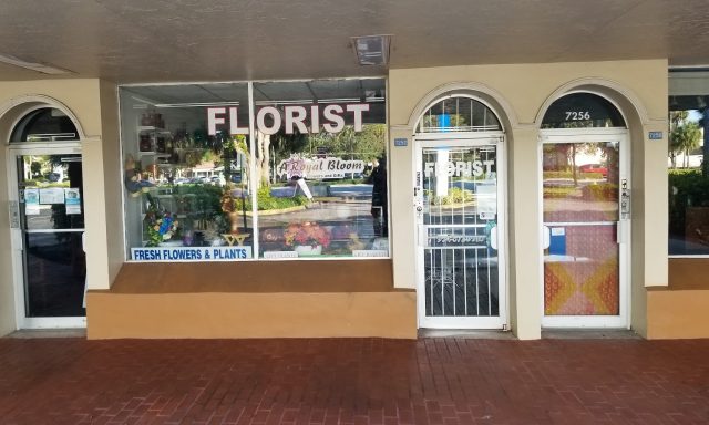 A Royal Bloom Flowers & Gifts