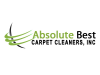 Absolute Best Carpet Cleaners