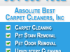 Absolute Best Carpet Cleaners