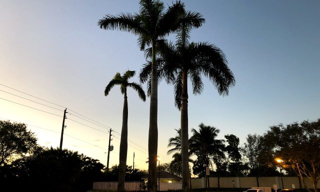 Troxell Communications