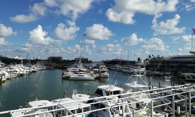 Welleby Holdings LLC