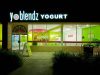 YoBlendz