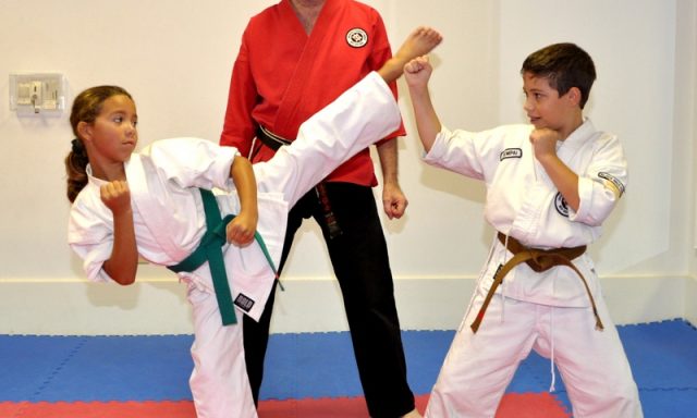American International Karate Institute