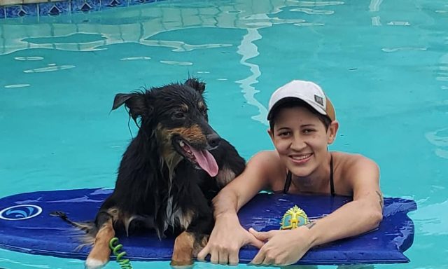 Aninanny Dog Training, LLC