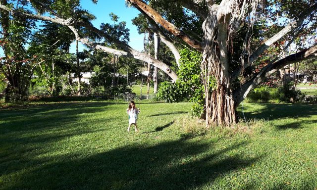 Chabad of East Plantation