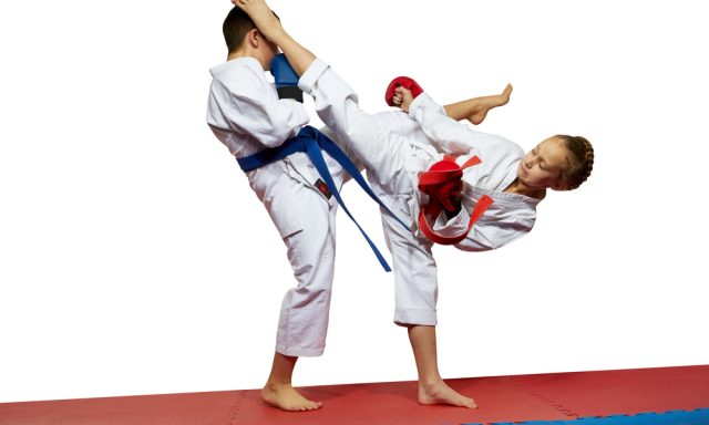 Elite Taekwondo Institute