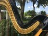 Harpist Lisa