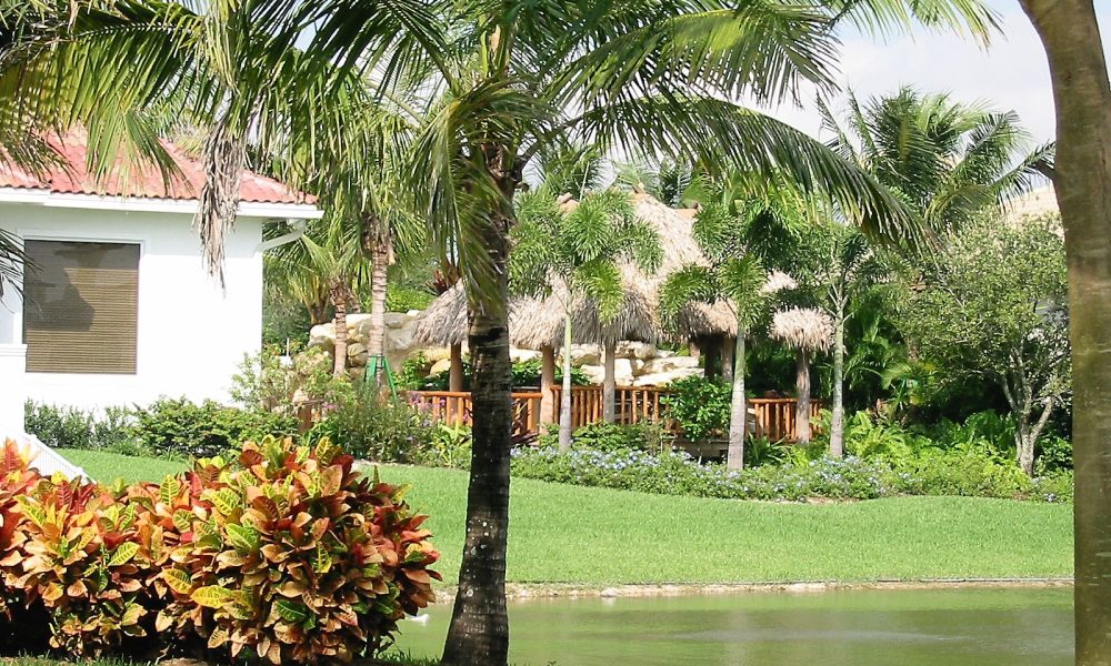 Hawks Landing Realty