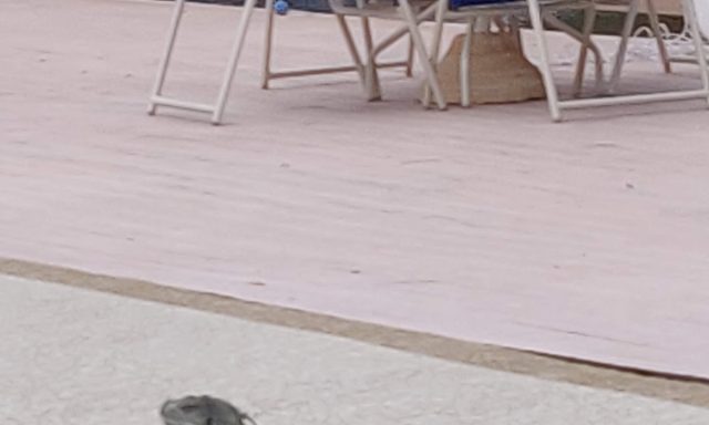 Jacaranda Recreation Center