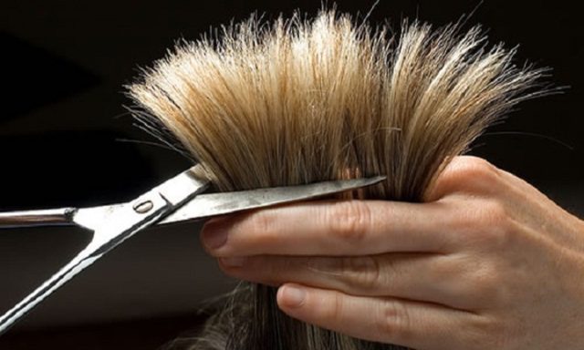 Just A Trim Beauty Salon #2