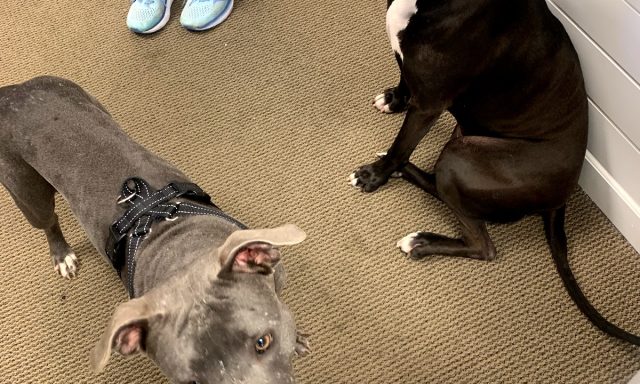 Ozner Family Chiropractic