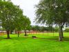 City Park